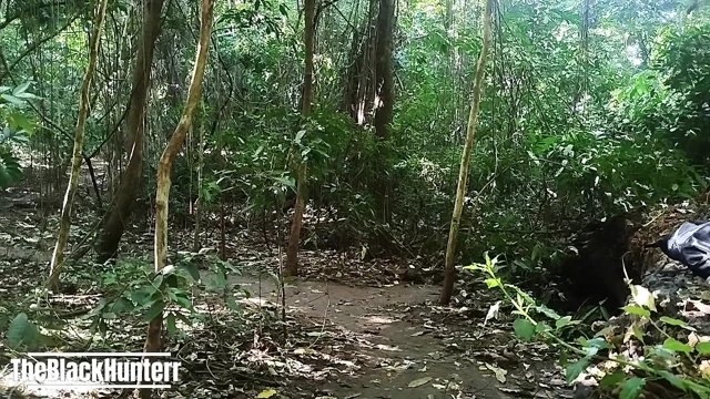 Parkta boşalma