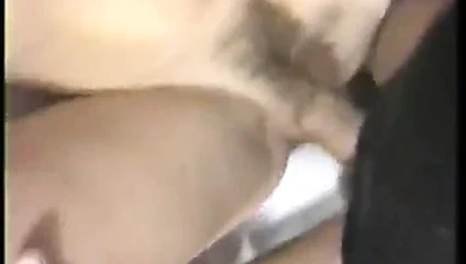 Trailor çöp kız ve balçık topu çirkinleri çarpıyor