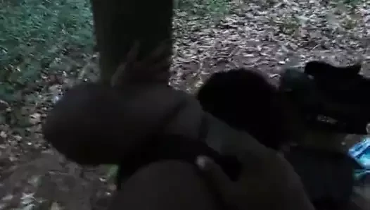 D'mde orman doğa götü
