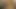 Latin civciv ile küçük memeler üzerinde horoz