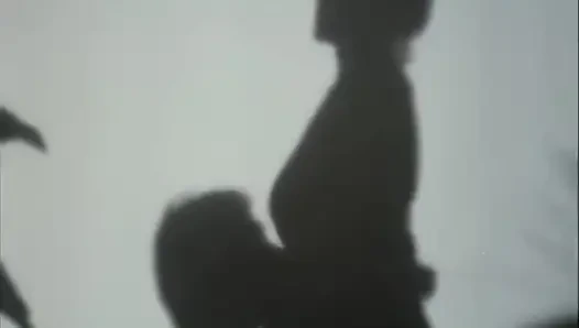 Neşeli bir dul - cilt. - (yumuşak versiyon)