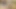 Seksi hizmetçi patronunun kurallarına itaat ediyor
