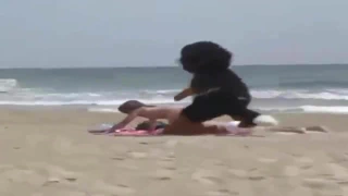 FUCK YOU - Beach - PunXXX