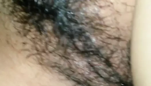 Veru peluda