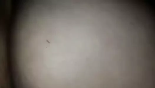 Ev yapımı