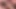Charlee Chase kocasının doğum günü için bir çekirgeyi yükseltiyor!
