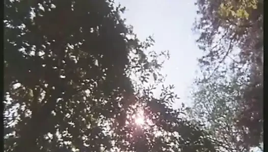 HD VIDEO 106