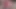 I Secretly Replaced My Step Mom Dildo With My Cock and Fucked Her in the Mouth and Pussy, Then Cum In Her Mouth
