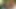 Lucy Thai anal seks ve çifte penetrasyon içeren açık havada üçlü grup seks fotoğraf çekimine katılıyor