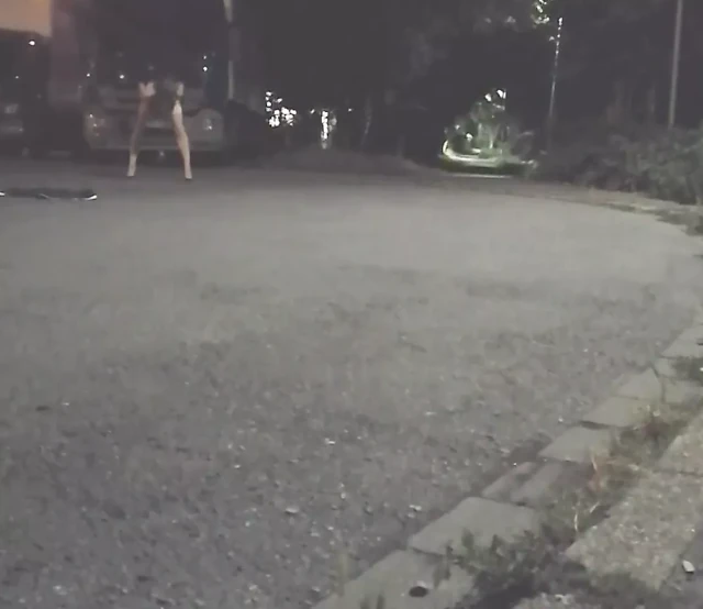 kamyoncu bebeğim