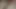 Beyaz tangalı ve siyah iç çamaşırlı minyon koyu tenli Taylandlı nine 4k teaser