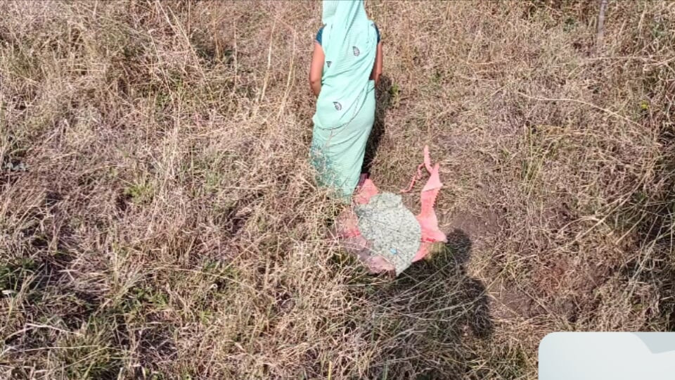 Baldızım ve ben ormanda yem kesmeye gittik, baldız tüm kıyafetleri açtı ve önümde soyunuyor, w