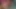 Amatör ev videosunda pembe dudaklı vajinalı üvey kız kardeşi var.
