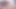 Arianalarssen web kamerası travesti