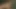 Sıkı kedi esmer liza medovaja sualtı