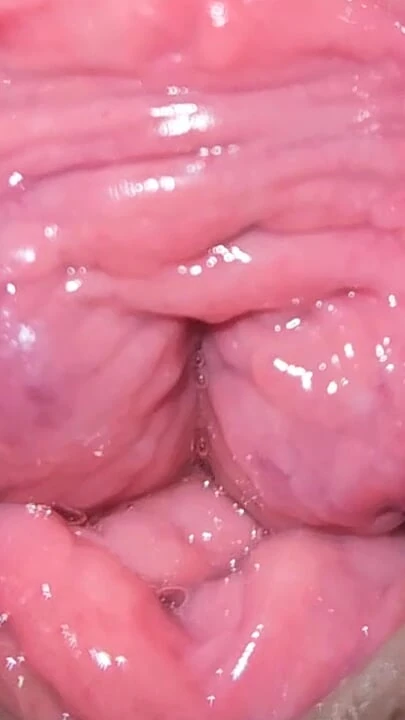 Добро пожаловать в мою киску