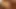 Sexwife Plesetck