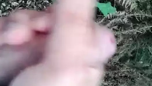 küçük bir masturbasyon içinde ormanda yalnız