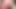 Femboy mayoyla güzel seksi götünü gösteriyor