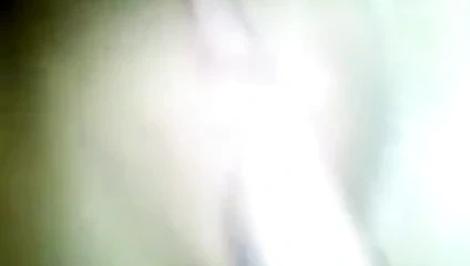 beni yalama bulgar KEDİ