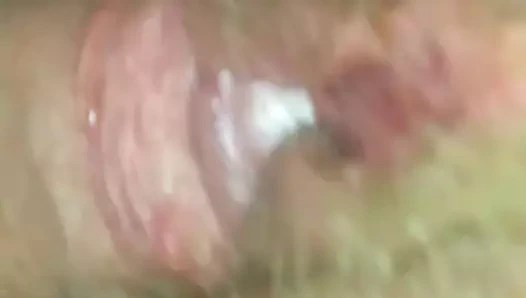 Beni kahrolası stacey ve doldurma onu kedi