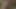 amatör KEDİ POV