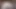 Yeşil üzümlü amcıktan itaatkarı besliyor