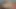 Kelly Brook & Jessica Szohr Nude & Sexy - Piranha - HD