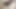 Porno yıldızı yarak alıyor