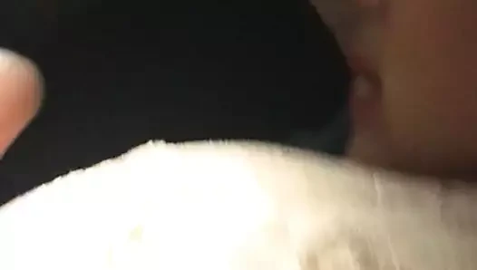 Şehirde bir gece geçirdikten sonra