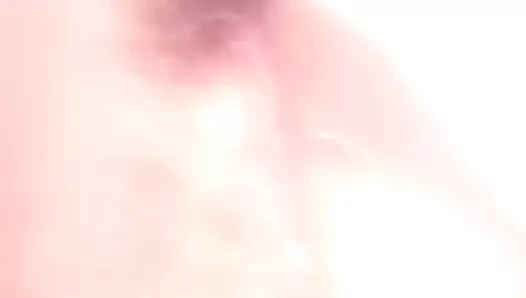 Siyah horoz içinde the beyaz am