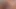 Tatlı kız kırlangıçlar bir dev yapışkan cumload