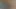 Cum yarı hızlı kedi