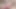 Hot Asian Ladyboy Easily Seduced Intro Porn