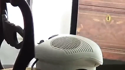 Ancilla tilia iki kızlar şerit