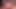 Ssbbw küçük siyah yarağı emiyor