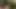 Seksi aç milf genç erkekleri baştan çıkarmaya çalışıyor