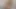 AMATEUR JOI - Sexy MILF makes you jerk off to the rhythm of her dildo.