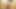 Detonou o Cuzinho da Ninfeta