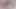 Tushy - Riley Reid ve Paige Owens büyük anal delikler