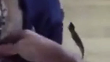 köle yapıyor oral seks için ona usta