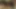 Jana eufrat ile ateşli lezbiyen seks yapıyor