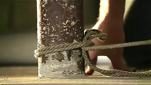 Daisy Duxe direklerin arasında