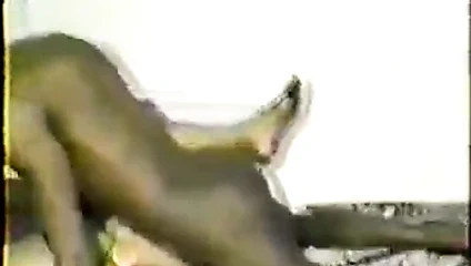 bbc 1 seven beyaz kadınlar