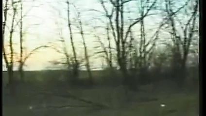 Mükemmel şımarık göğüsleri olan genç sarışın açık havada kıçında büyük bir horoz alır