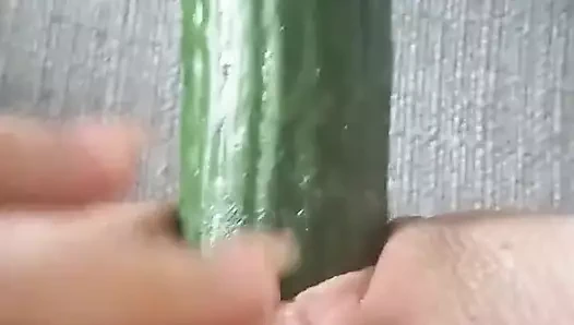 Salatalık ile oyna!