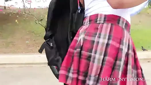 Uyum vizyonu Brezilya ganimetinden daha iyi bir şey değil