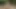 Jasmine Jayne ve Lily Flower'ın voleybol üçlü seksi