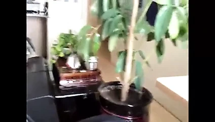 Poi lam öğrenci tekrar