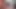 Pornstarplatinum büyük memeli genç erkek avcısı Kate Frost sert sikiliyor